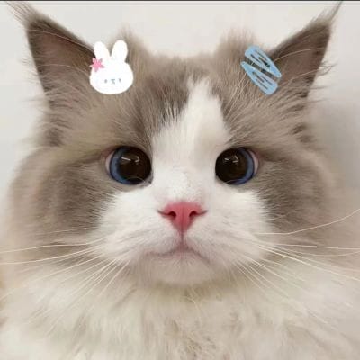 Rina Marlina avatar