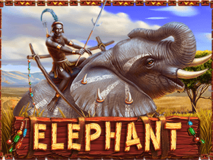 Elephant screenshot